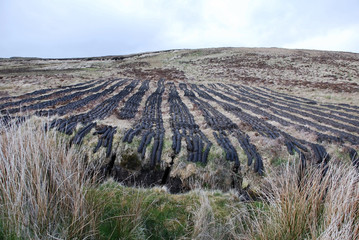 Peat fields,  traditional source of energy and fuel , in Donegal Ireland