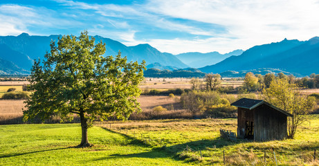 landscape murnauer moos - bavaria