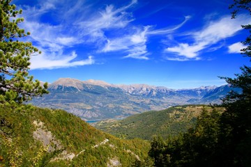 La forêt de Boscoron