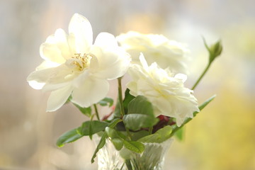 Beautiful bouquet of flowers in vase on sunny window background.