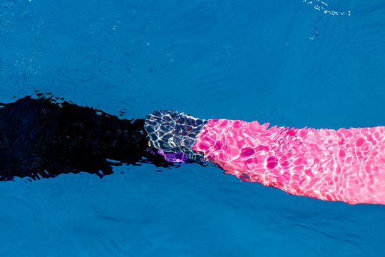 pinkk fin diving
