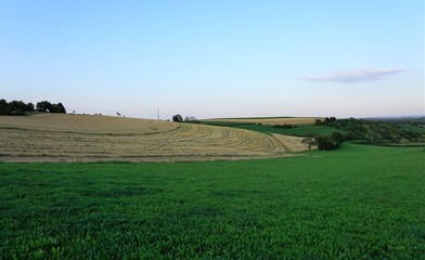 Obraz premium Wiese in Süddeutschland mit Vulkanen und Blick auf die Schweiz