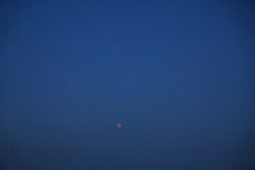 Wiese in Süddeutschland mit Vulkanen und Blick auf die Schweiz
