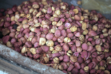 traditional kola nuts close up, on african market on a sunny day in the Gambia