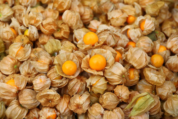 Fresh cape gooseberry background