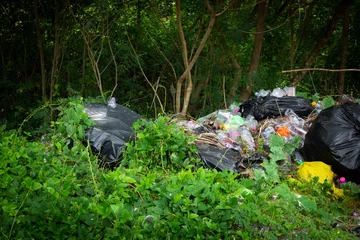 Draagtas Plastic in het bos © Digitalpress