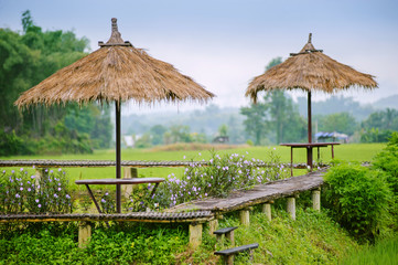 Fototapeta na wymiar beautiful view of pathway wooden and green rice field in Pua, Nan province, North of Thailand
