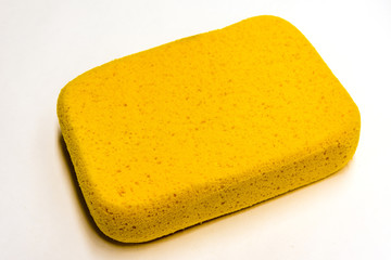 Sponge for smoothing out putty seams on drywall