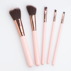 Cosmetics: Set of Make up Brushes Shot in Studio Over White Background