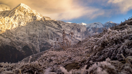 Annapurna South at sunrise time. View point from Mardi Himal base camp track.One of the majestic...