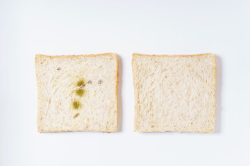 mold on white bread