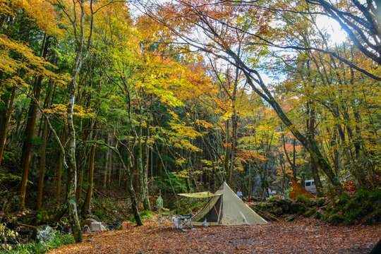 Autumn camp