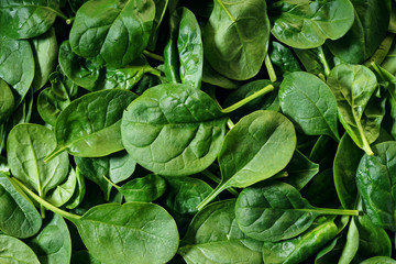 spinach background