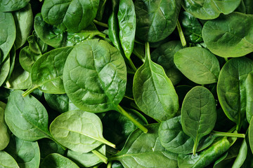 Fototapeta na wymiar spinach background
