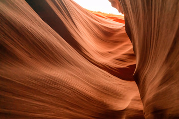 Wave pattern of Sandstone slot of Lower Antelope, Arizona