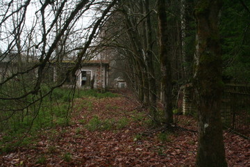 old house in the forest