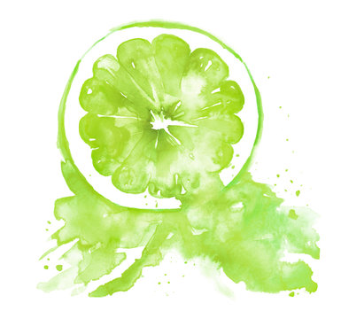 Illustration of green citrus, lime, lemon painted watercolor. Spray juice, a splash of paint. Watercolor poster, logo with the image of citrus, lime, lemon . On an isolated white background.