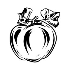 Illustration of apple.