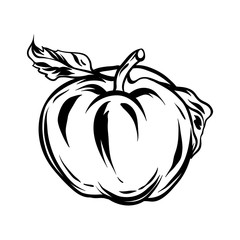 Illustration of apple.