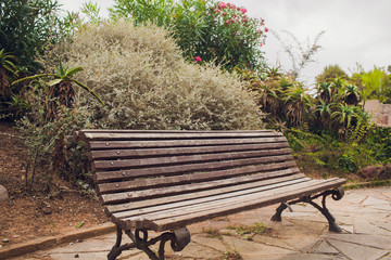 Bench in the summer park with old trees and footpath.