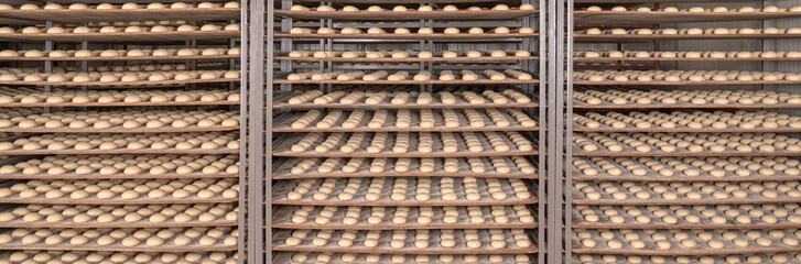 Fototapeta na wymiar Dough. Bread dough. Fresh raw dough in product line
