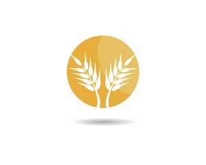 Wheat logo vector icon