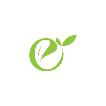 E Letter With Leaf Logo
