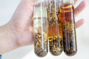 The study Separating by filtration and evaporation condensation the component substances from...