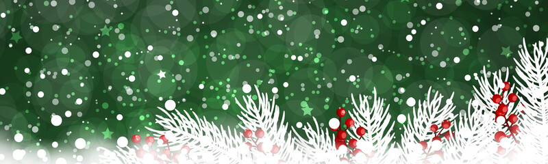 Christmas background with fir branches