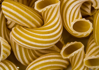 Italian pasta closeup