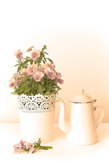 Purple, blue and lilac pansy flowers in a beautiful pot with an enameled jug on white background, copy space, vintage filter effect