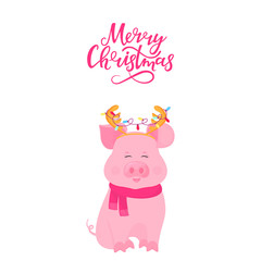 Cute pig sitting in a scarf and with deer horns with a garland. Merry Christmas hand lettering. Greeting card for New Year. Funny piggy