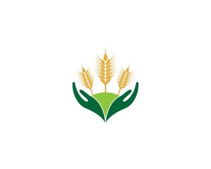 Wheat logo vector icon illustration
