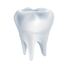 Realistic tooth poster. Illustrations isolated on white background. Graphic concept for your design