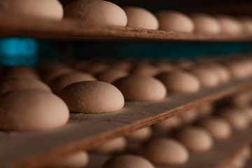 Dough. Bread dough. Fresh raw dough in product line