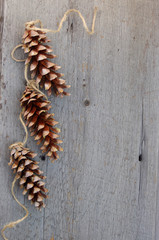 three pinecones with twine ribbon on rustic wooden background with copy space  