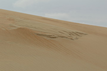 pattern on sand dune close-up