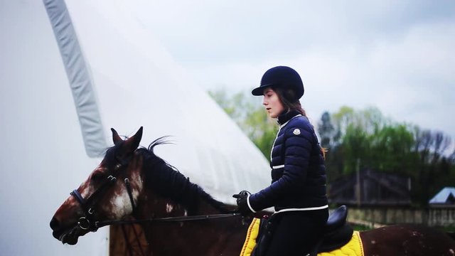 Close up girl riding horse farm horseback sport competition animal race girl jump lifestyle young cloudly mare ride stallion woman activity beautiful freedom showjumping sky close up