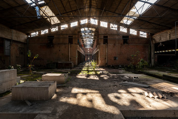 Abandoned factory hall
