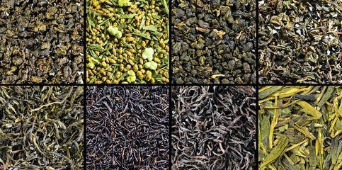 large assortment of green tea collection macro, set of dry tea textures