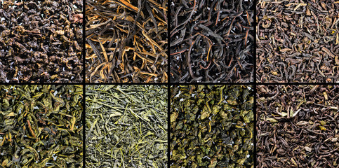 large assortment of green tea collection macro, textures collage