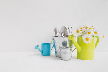 Home interior and garden concept with summer flowers in a metal bucket