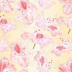 Seamless texture blossoms  rhododendrons light pink set   on a nature background vintage  vector illustration editable hand draw