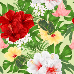 Bouquet with tropical flowers  floral arrangement, with beautiful red white and yellow hibiscus, palm,philodendron and Brugmansia  vintage vector illustration  editable hand draw