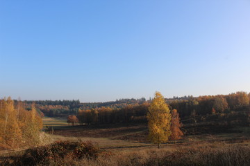 Fototapeta premium autumn in the park