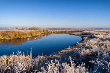 Rzeka Narew, mroźny poranek, szron i słońce.