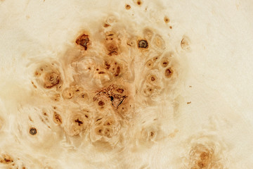 Texture of poplar veneer. Preparation for design_