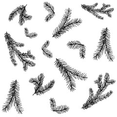 Seamless pattern with pine brunches and cones. Hand drawn vector