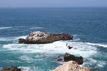 Südafrika, Kapstadt, Hermanus, Cliffs, Strand, Wale, Reisen, Ozean, Meer