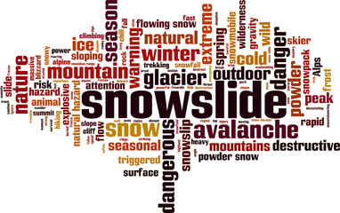 Snowslide word cloud